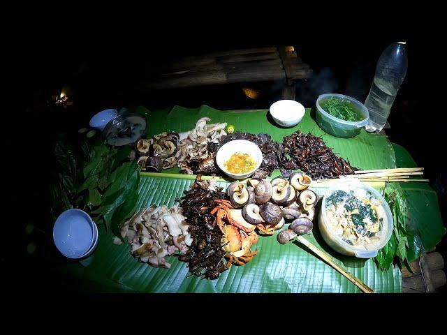 #547. Bữa tiệc trong rừng đêm, phiêu lưu trong rừng