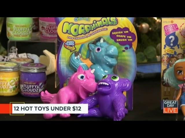 ORB Odditeez Morphimals on CBS Tampa Bay | Toy Insider | Hot Holiday Toys Under $12