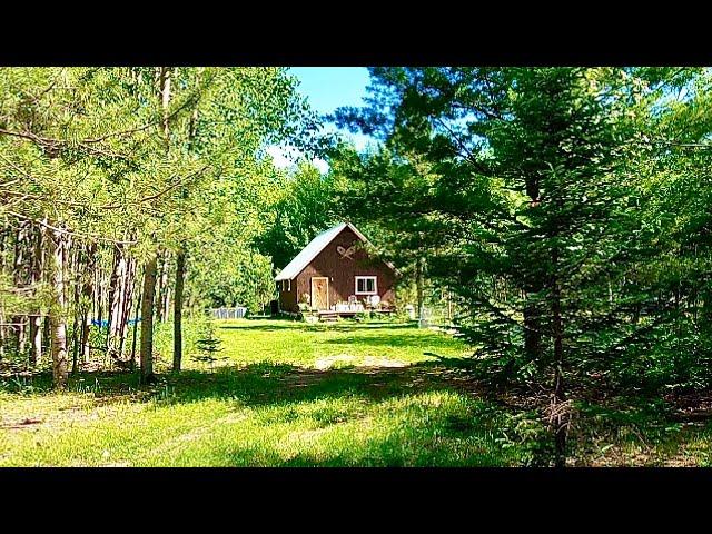 A Typical Summer Day On Our Off Grid Homestead: Self Sufficient Living