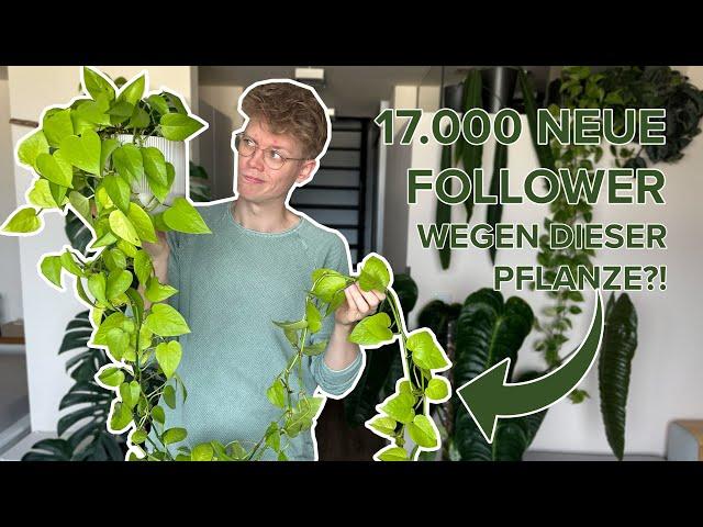 17.000 neue Follower durch diese Pflanze?! | Pflanzen Tops & Flops 2024