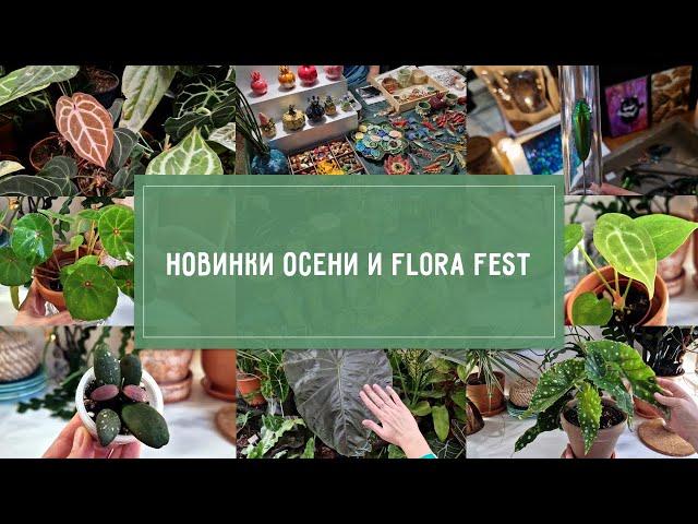 НОВИНКИ РАСТЕНИЙ осени и Flora Fest