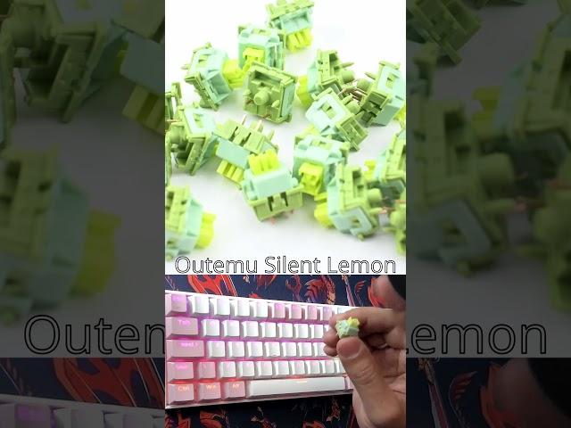 Comparison Tactile Switch - Holy Panda V2 vs Outemu Silent Lemon V2