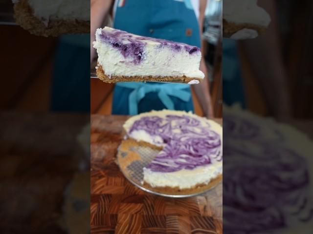 Blueberry Week | Ep. 4; The BEST Blueberry Cheesecake