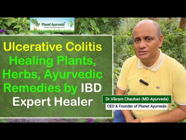 Ulcerative Colitis Healing Plants, Herbs, Ayurvedic Remedies by IBD Expert Healer Dr. Vikram Chauhan