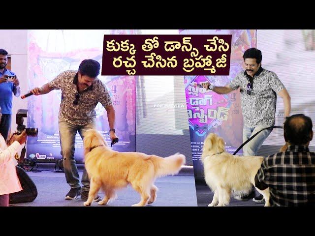 Actor Brahmaji Funny Dance with Dog | Slum Dog Husband Movie Pressmeet | Mana Cinemaa