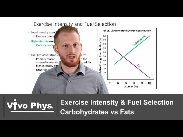 Exercise Intensity and Fuel Selection - Carbohydrates vs Fats