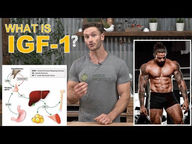 What is IGF-1? Growth Factors for Bodybuilding by Thomas DeLauer - Deer Antler Velvet Extract