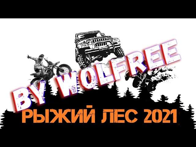 Рыжий лес 2021