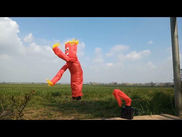 Wacky Waving Inflatable Arm Flailing Tube Man - I Love It