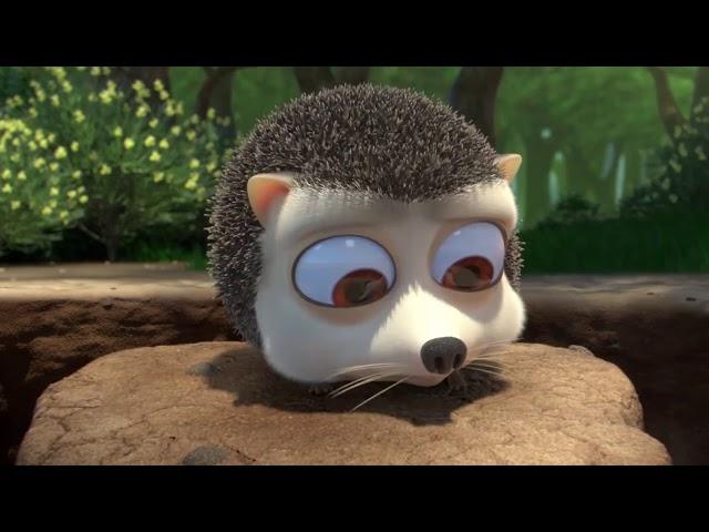 Hedgehog Animals - Jungle Beat - Jungle Songs  | Cumburlop TV | Cartoon | kid #junglebeat