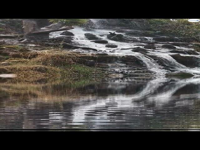 Listen to Slowly #Flowing #Water #Sounds #watersounds #naturalsounds