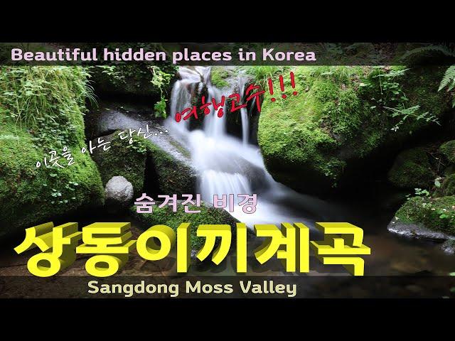 영월 상동이끼계곡 - 숨겨진 비경 / 3대 이끼계곡  Beautiful hidden places in Korea - Sangdong moss valley in Youngwall