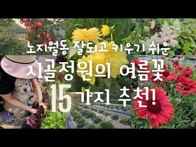 SUB) 노지월동 잘되고 키우기 쉬운 여름꽃 15가지 추천! | 시골집 | 주말농장 | 힐링 | 시골정원 | 댕댕이 | Korean countryside life |