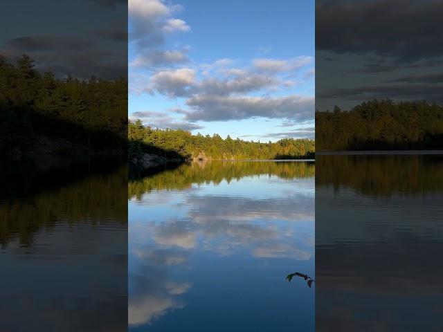 Pink Lake