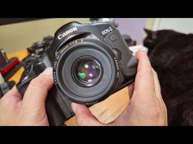 Canon EOS-1 V Review: Still relevant in 2025?