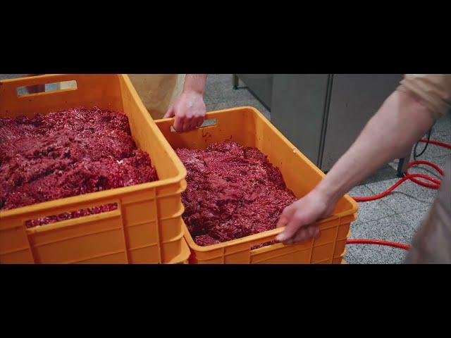 How chorizo sausage made in factory