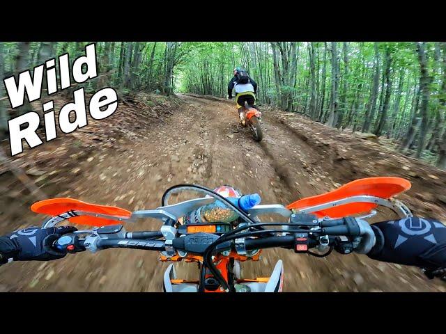 Riding The BEST Trails So Far | The Flow Trails - Carpathian Mountains (EP-3)