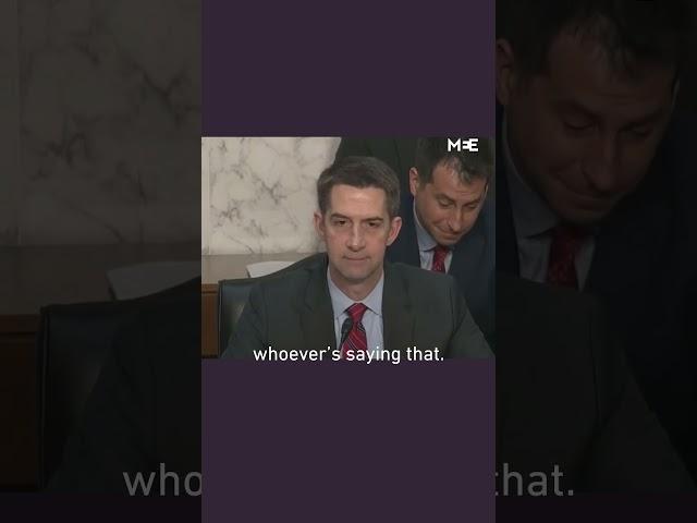 US Senator Tom Cotton calls pro-Palestine activist a “Codepink lunatic”