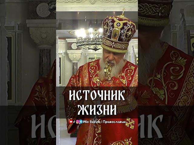 Источник жизни | еп. Августин (Анисимов)
