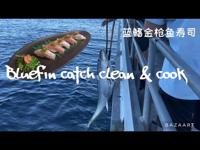 Bluefin catch clean and cook - chutoro nigiri sushi / 蓝鳍金枪鱼寿司