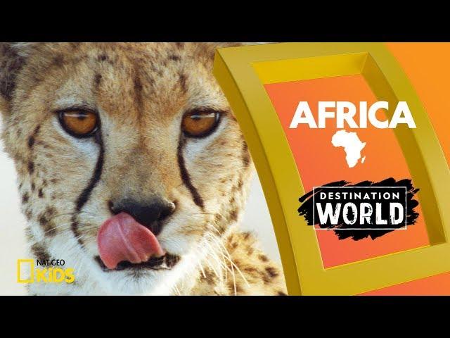 Africa | Destination World