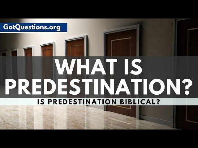 What is Predestination? | Predestination in the Bible | GotQuestions.org