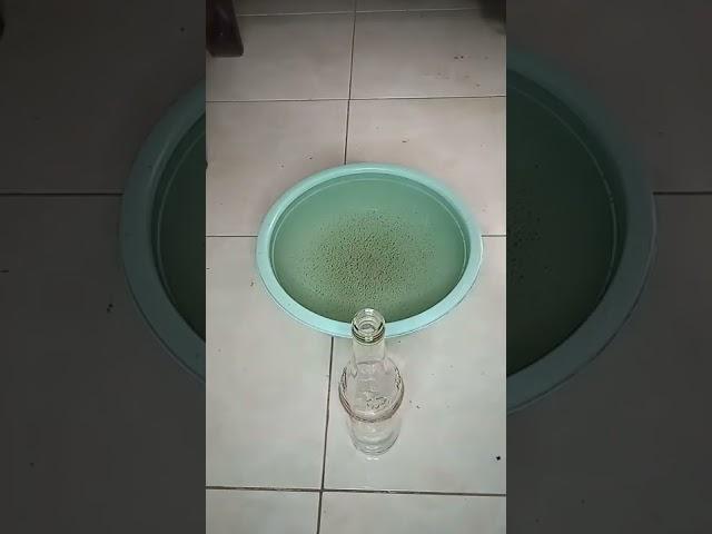 Cara potong botol kaca dengan mudah dan rapi