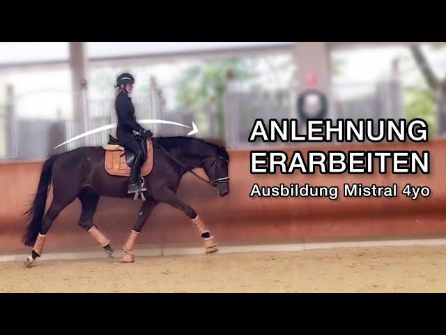 Anlehnung mit beim Pferd erarbeiten / Ausbildung Mistral / Vorwärts Abwärts Reiten / INLEOBO