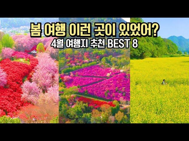 국내 여행 추천 놓치면 후회할 4월 봄 여행 명소 BEST 8