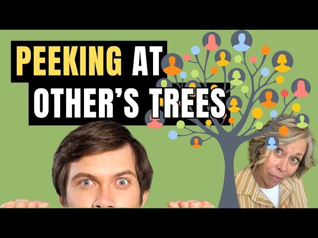 Should You Use OTHER Family Trees