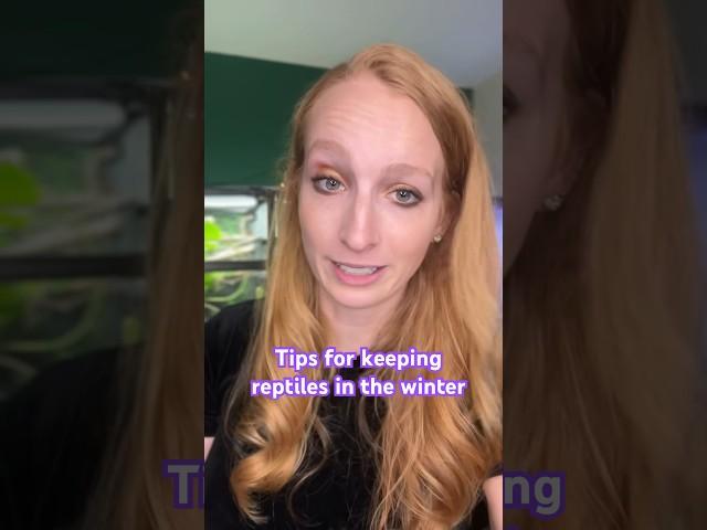 Keeping your chameleon warm
