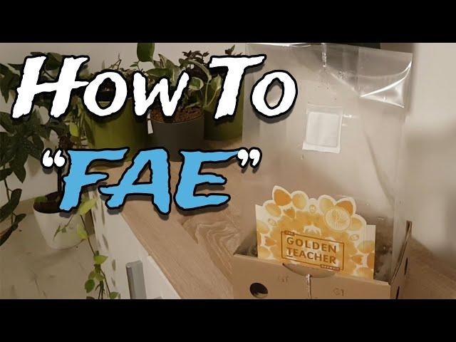 How To Fresh Air Exchange Your Mushroom Grow Kit - FAE the Right Way!