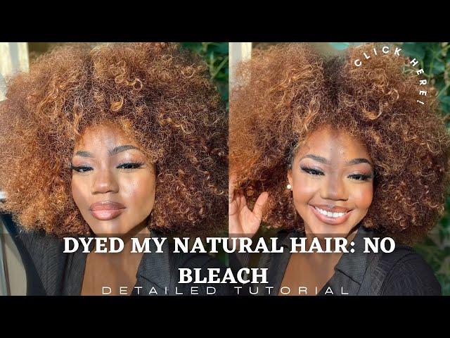 How To DYE Hair HONEY BLONDE | NO BLEACH Step by Step |Natural HAIR| (Ombre Color)