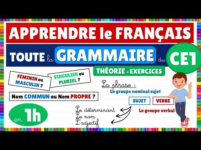 Learn all CE1 French grammar in 1 hour!