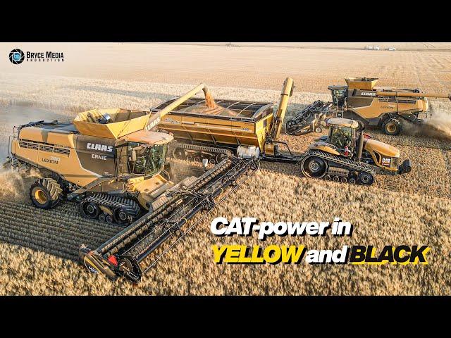 CAT Power 2023 - Ernte 2023 mit 3x Lexion 760 Yellow US/CA  Diese art von Mähdrescher stirbt aus