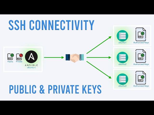 Configuring SSH connectivity between hosts