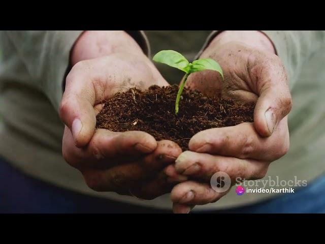 Organic Farming - A Green Thumb's Guide