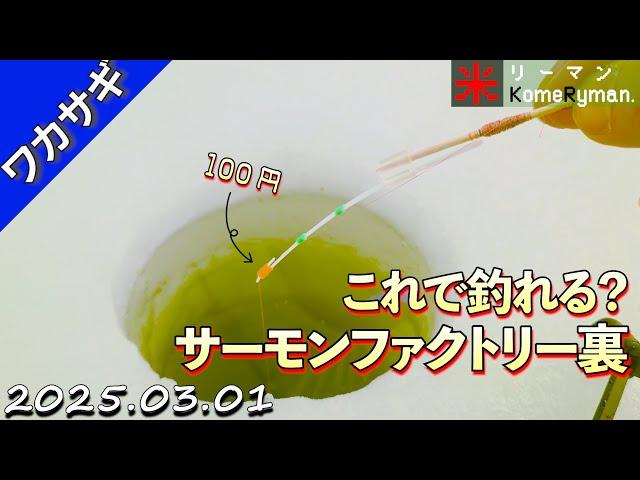 【サーモンファクトリー裏】中国製の謎穂先で、目指せ爆釣。ワカサギ釣り。2025年03月01日。