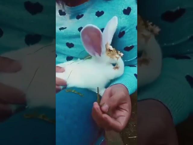 SHE HAVE A BLUE EYES