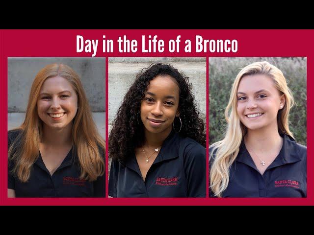 A Day in the Life of a Bronco