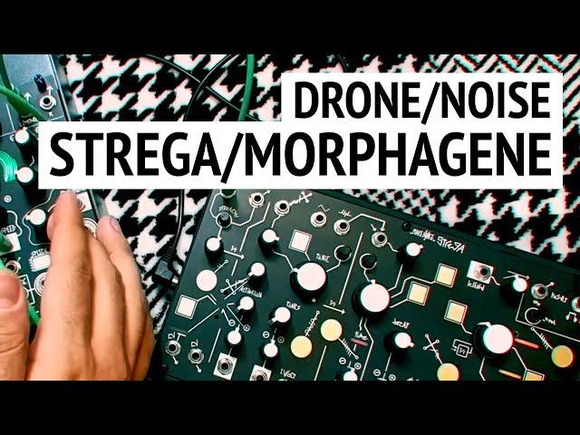 Brownies - Drone/noise jam with Strega, Morphagene, Estey Field Organ Tone samples