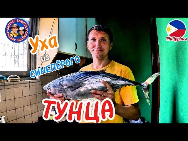 УХА ИЗ ГОЛОВЫ СИНЕПЁРОГО ТУНЦА. ФИЛИППИНЫ. BLUEFIN TUNA