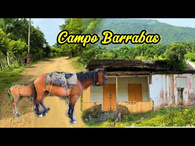 ASÍ ES EL CAMPO BARRABÁS DE PUERTO PLATA,REPÚBLICA DOMINICANA