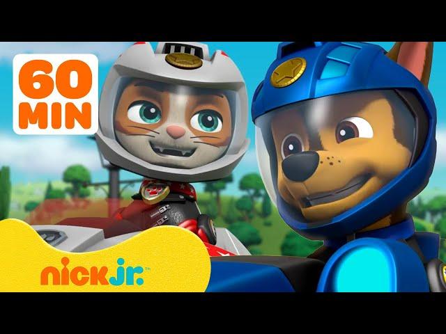 PAW Patrol & Wild Cat Moto Pups Rescues! w/ Chase & Marshall | 1 Hour Compilation | Nick Jr.