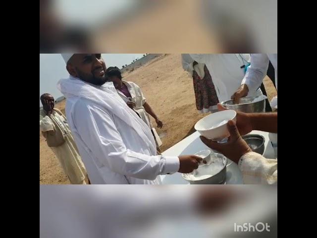 Al Syed Tours - Camel Milk in Saudi Desert during Hajj