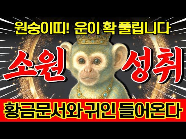 원숭이띠는 5월 말부터 모든 일이 잘 풀리고 대박 대운이 들어온다. 황금문서와 자식복으로 집안에 겹경사 터지는 '56년 68년 80년 92년 44년 04년생' 원숭이띠 운세