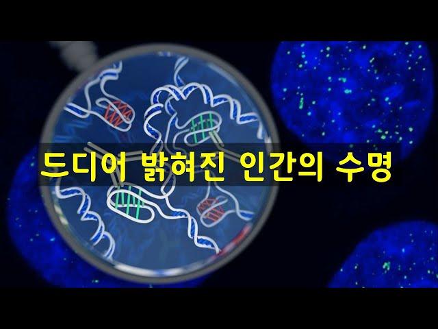 DNA 분석 결과 인간의 수명은 원래 38세였다. [신박과학]