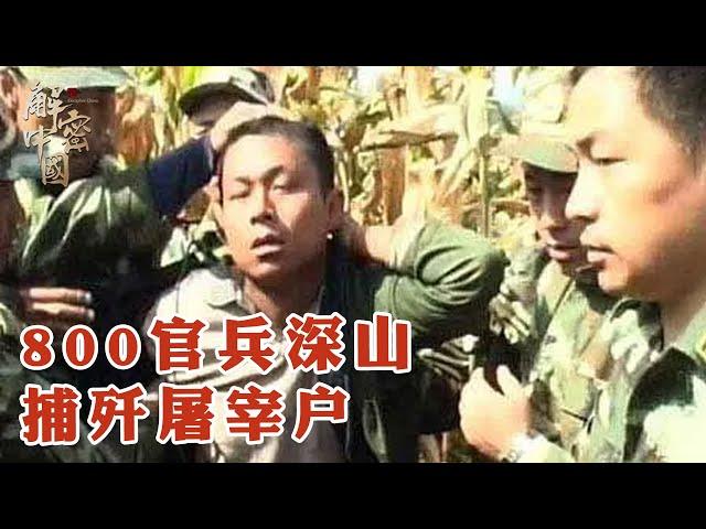 全城陷入恐慌，轮流守夜！屠宰户半夜出没，4天连宰9人！直击800名官兵深山捕歼【华夏传奇】