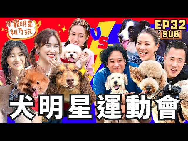 [SUB] EP32 第2屆 犬明星運動會 呵喜奇蹟逆轉勝？ 星二代集體崩潰！【 萌寵明星粗乃玩 】 阿龐 余祥銓 林又立 韓菲 王敏淳 阿福 YOYO BELLA 妹妹 BERKLEE​