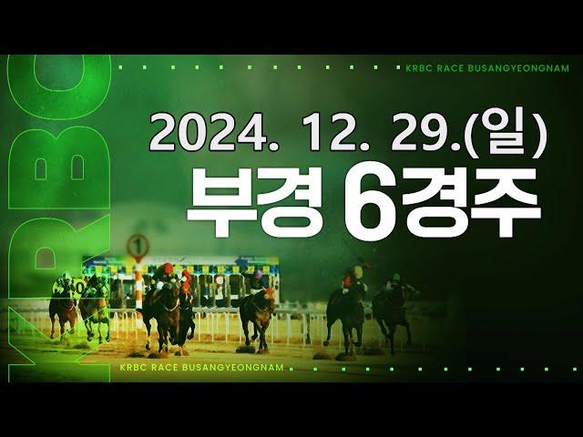 (부산) 2024.12.29 6경주